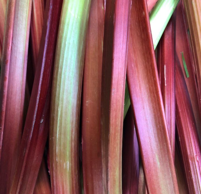 Rhubarbe Victoria